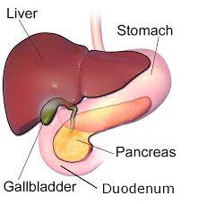 Gallbladder stone surgery in Kota